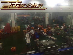 吉林延边州青山伴金山 多举措助力 绿色 崛起