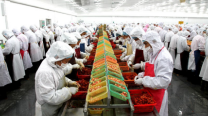 德炎水产食品股份有限公司简介